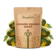 Summer Squash Seeds – Cucurbita pepo