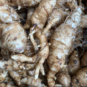 Sunchoke Seeds - Vegetable Plant foe Home Gardens