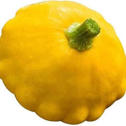 Sunseanse F1 Pumpkin Seeds