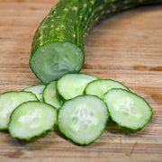 Long Greek Cucumber Seeds