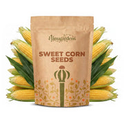 Sweet Corn Seeds – Zea mays
