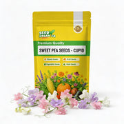 Sweet Seeds, Lathyrus odoratus Flower Seeds