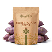 Sweet Potato Seeds – Ipomoea batatas