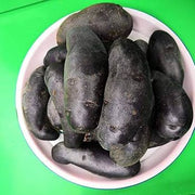 Black Sweet Potato Seeds