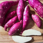 Dark Pink Sweet Potato Seeds