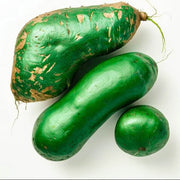 Green Sweet Potato Seeds
