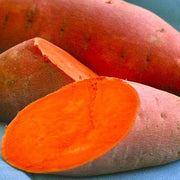 Orange Batatas Sweet Potato Seeds