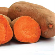 Orange Batatas Sweet Potato Seeds
