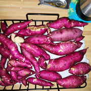 Dark Pink Sweet Potato Seeds