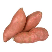 Giant Sweet Potato Seeds