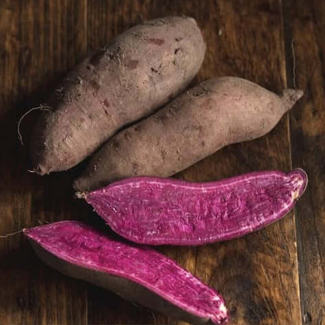 Light Violet Sweet Potato Seeds