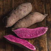 Light Violet Sweet Potato Seeds