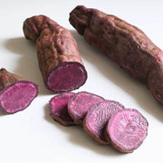 Molokai Purple Sweet Potato Seeds