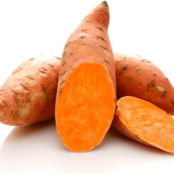 Orange Batatas Sweet Potato Seeds