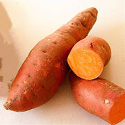 Orange Yellow Sweet Potato Seeds