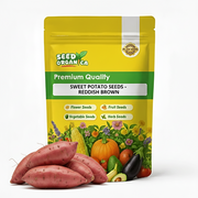 Sweet Seeds, Ipomoea batatas Vegetable Seeds