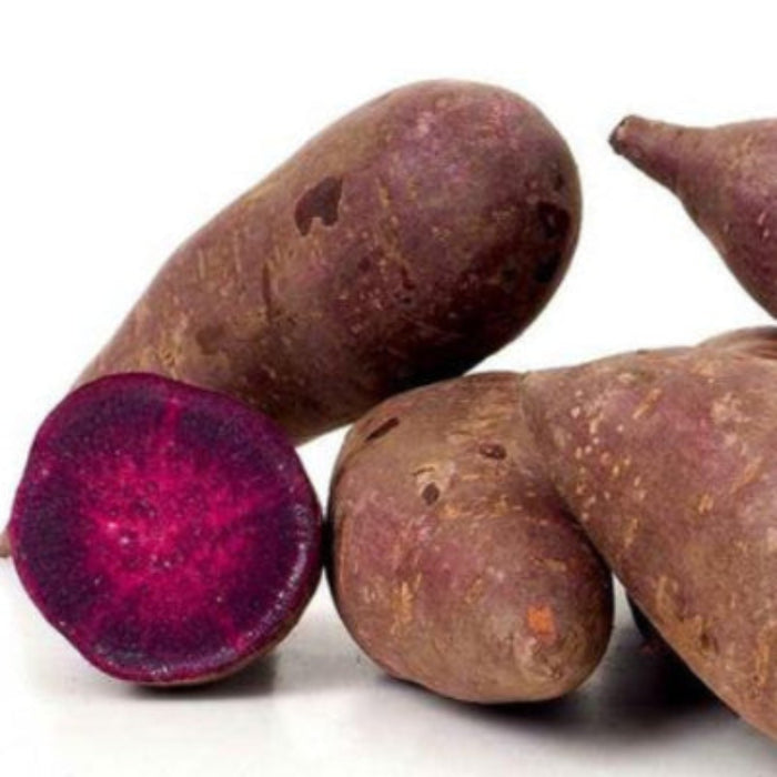 Rich Purple Flesh Sweet Potato Seeds