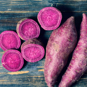 Stokes Purple Sweet Potato Seeds