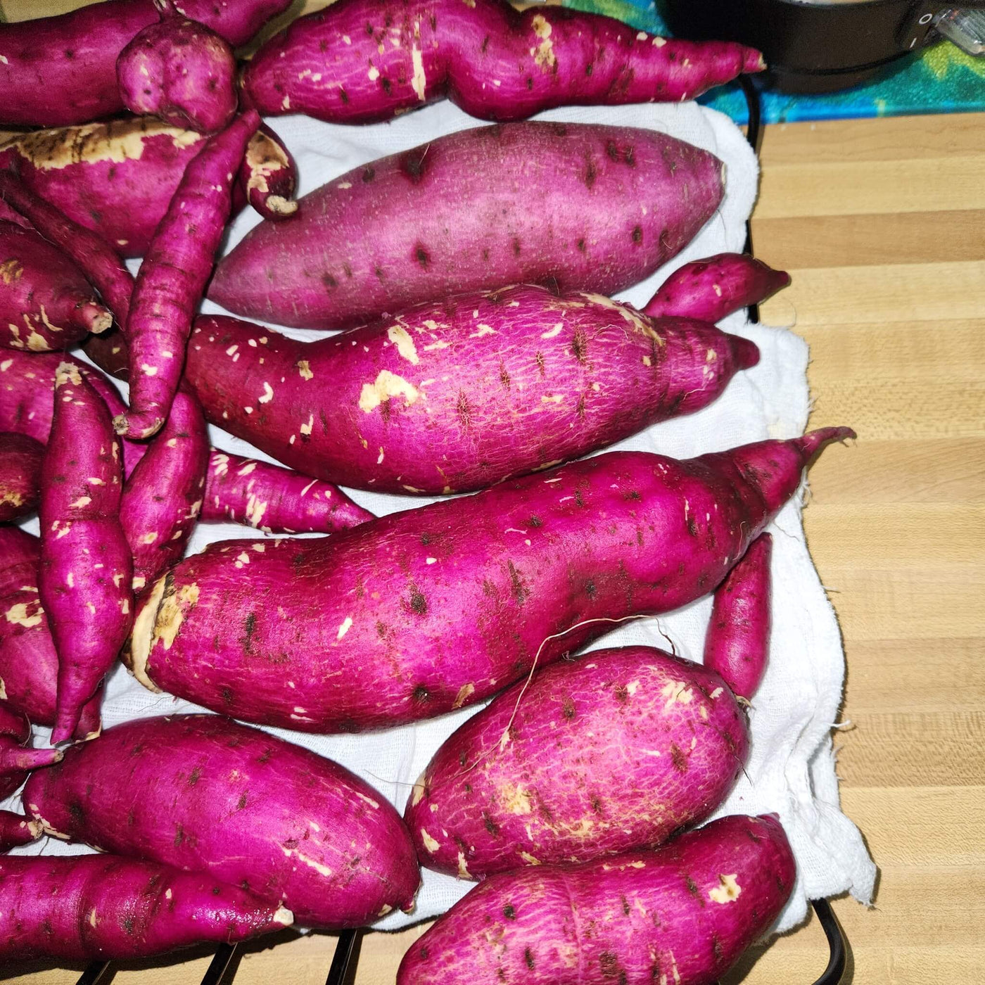 Dark Pink Sweet Potato Seeds