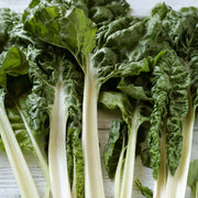 Lucullus Swiss Chard Seeds