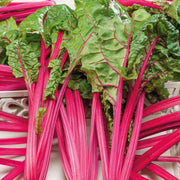Pink Swiss Chard Seeds