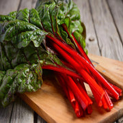 Red Swiss Chard Seeds