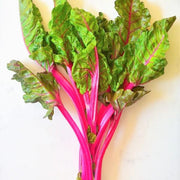 Pink Swiss Chard Seeds