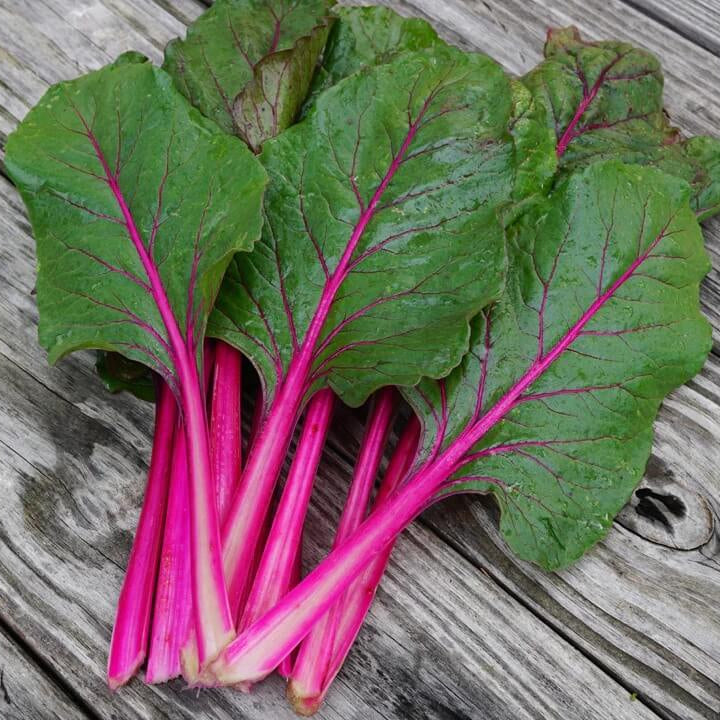 Pink Swiss Chard Seeds
