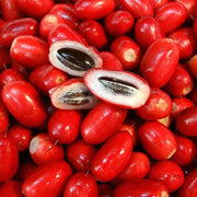 Berry Seeds