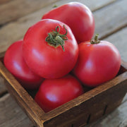 Momotaro Tomato Seeds