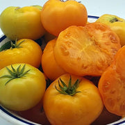 Cream Orange Tomato Seeds