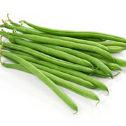 Green Tepary Bean Seeds