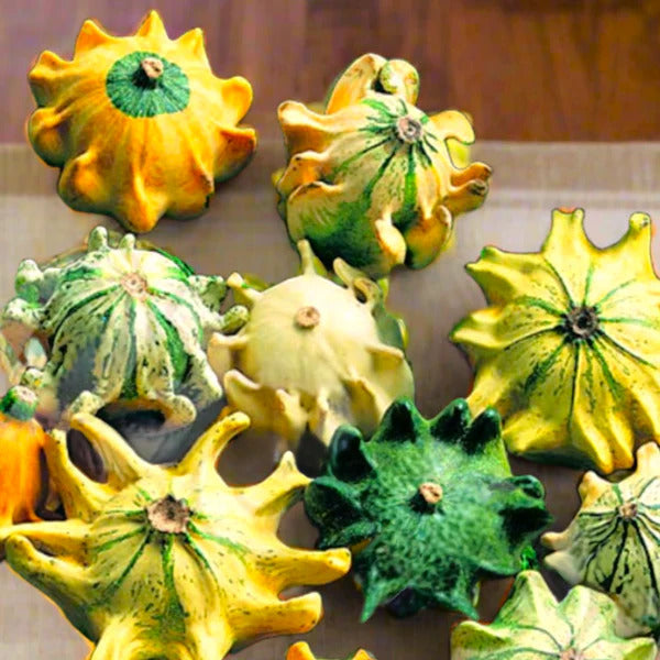 Spiny Gourd Thorn Gourd Seeds