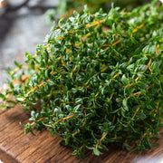Winter Thyme Seeds, Herbal