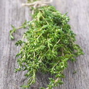 Winter Thyme Seeds, Herbal