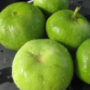 Gourd Tinda Seeds