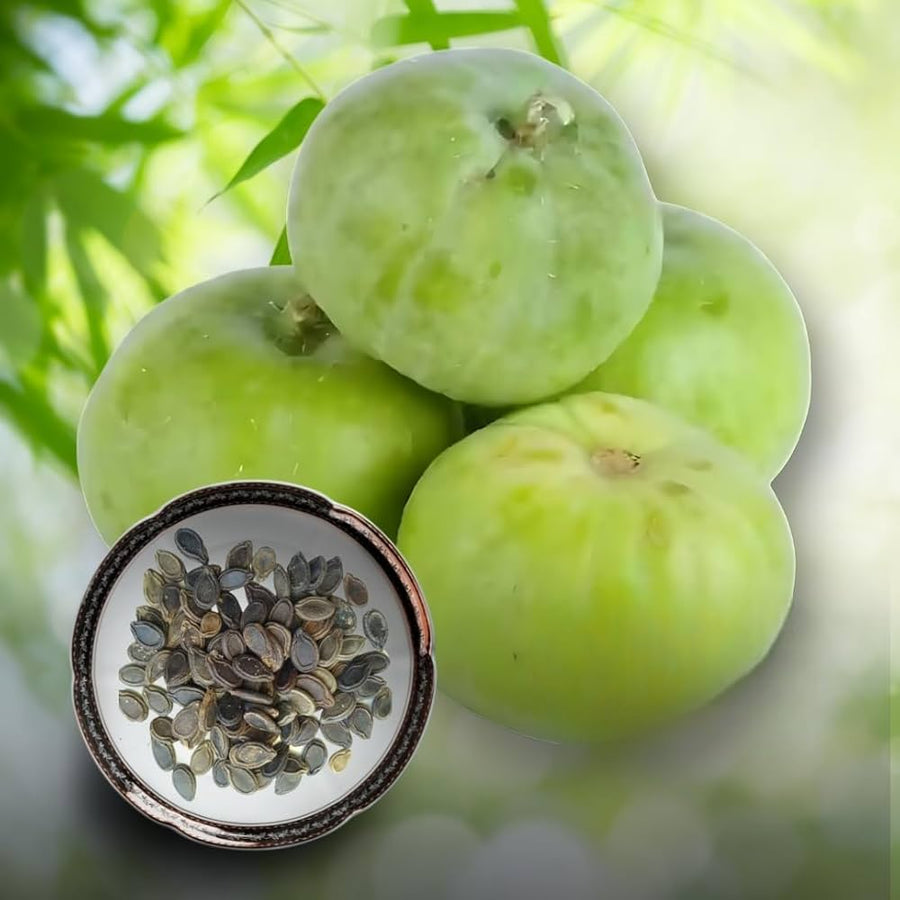Gourd Tinda Seeds