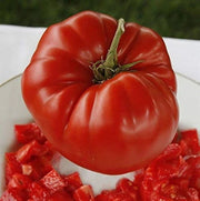 Aussie Paste Tomato Seeds