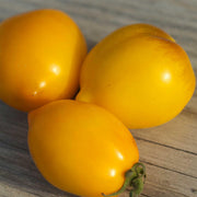 Lemon Tree Tomato Seeds