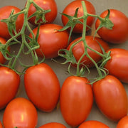 Long Cluster Tomato Seeds
