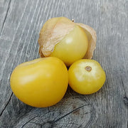 Light Yellow Tomatillo Seeds