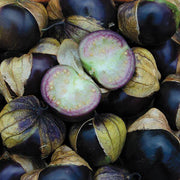 Milpero Purple Tomatillo Seeds