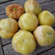 Tomatillo Seeds, Physalis philadelphica Vegetable Seeds