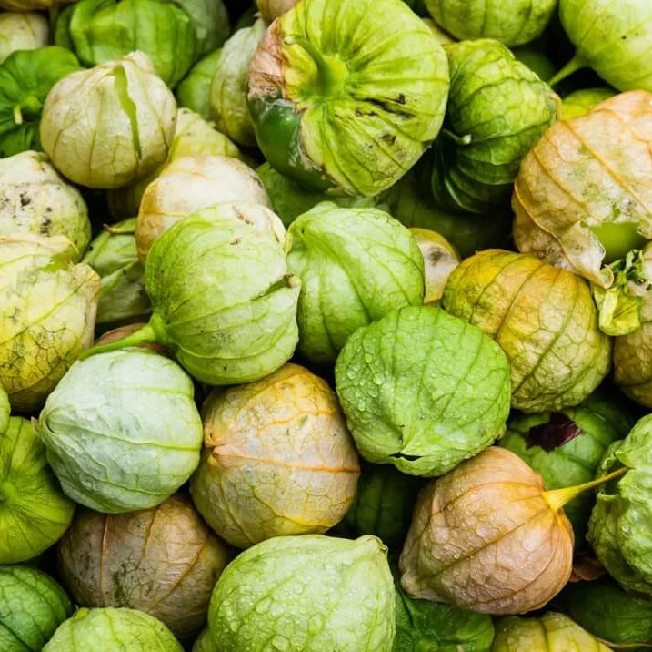 Cream Tomatillo Seeds