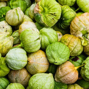 Cream Tomatillo Seeds