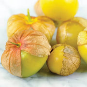Light Yellow Tomatillo Seeds