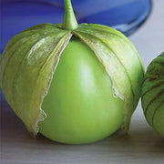 Toma Verde Tomatillo Seeds