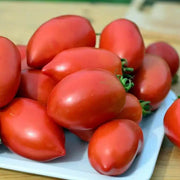 Big Mama Tomato Seeds
