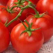 Abe Lincoln Tomato Seeds