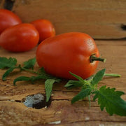 Amish Paste Tomato Seeds